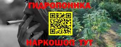 индика Новокубанск