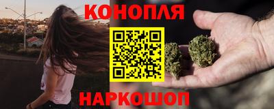 индика Новокубанск