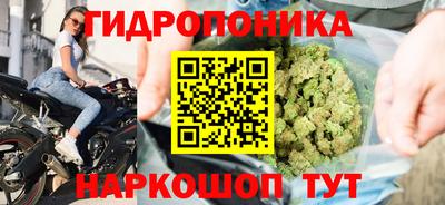 прущие крисы Новодвинск