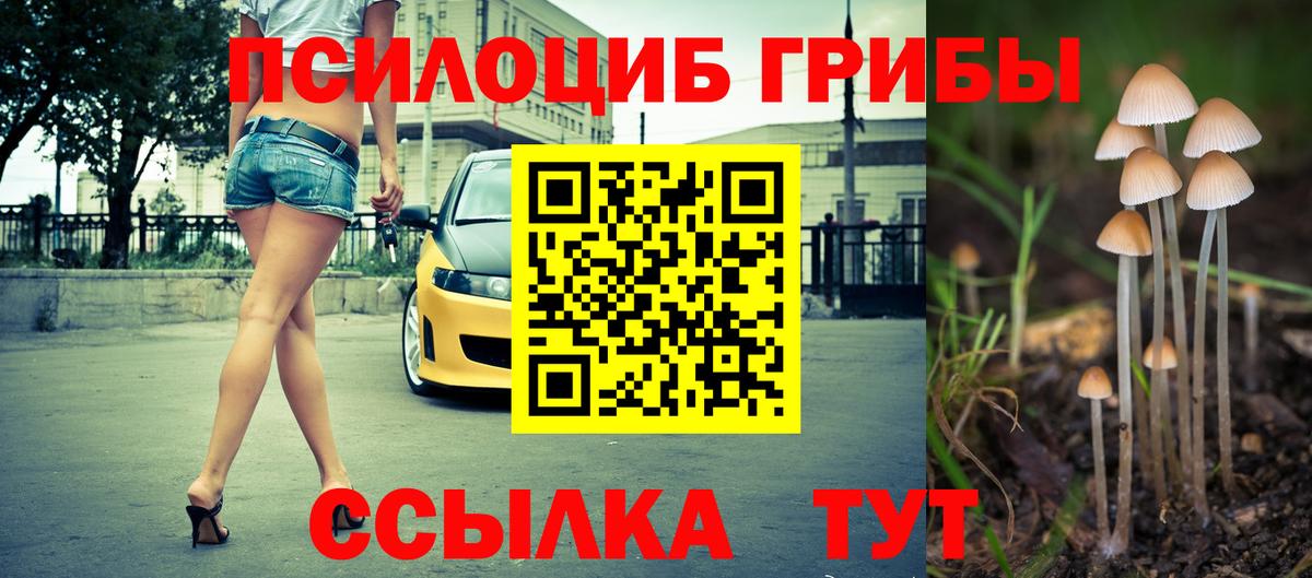 Галлюциногенные грибы мицелий  где купить наркотик  Тайшет  Вход с VPN  Галлюциногенные грибы Psilocybine cubensis 