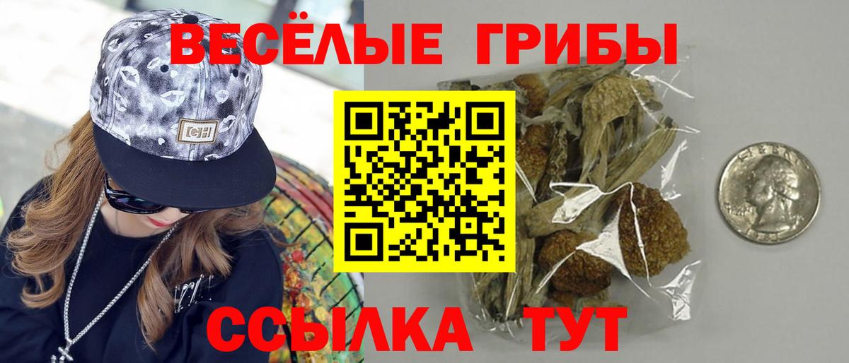 Псилоцибиновые грибы Magic Shrooms Тайшет