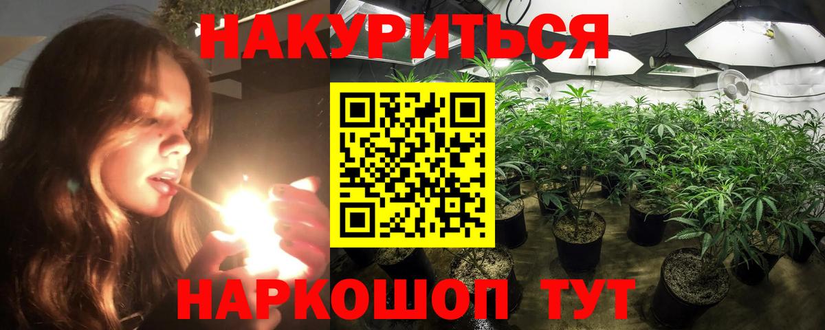 Каннабис планчик  Вход с VPN  Тайшет  Каннабис семена  Бошки Шишки SATIVA & INDICA  Каннабис ГИДРОПОН 